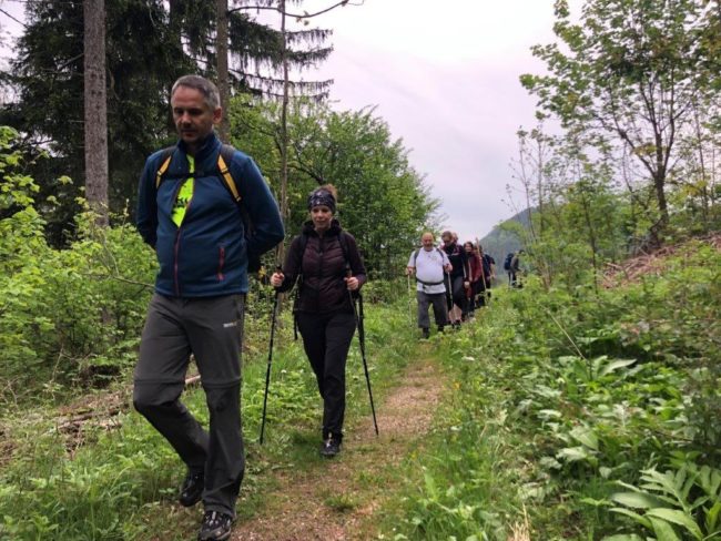Sternwallfahrt OFS Österreich 2. Juni 2019 - Mariazell