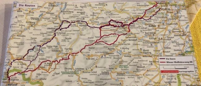 Sternwallfahrt OFS Österreich 2. Juni 2019 - Mariazell