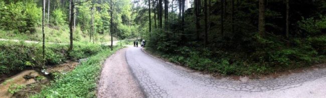 Sternwallfahrt OFS Österreich 2. Juni 2019 - Mariazell