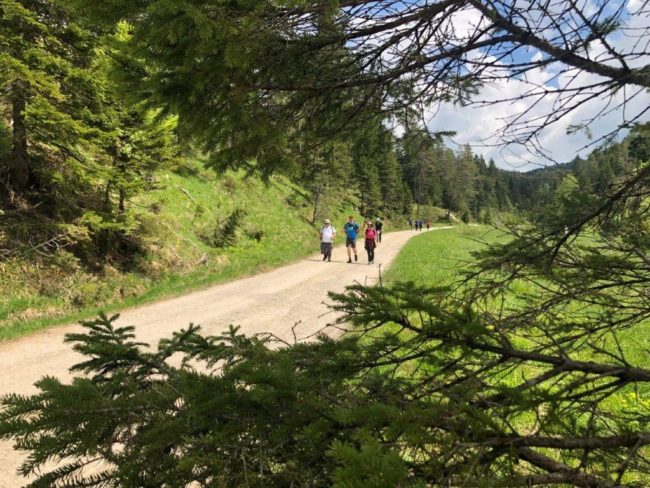 Sternwallfahrt OFS Österreich 2. Juni 2019 - Mariazell